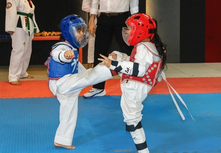 Taekwondo